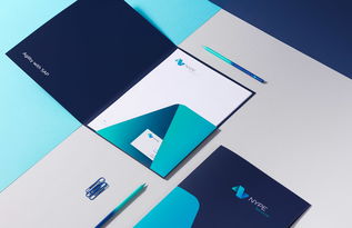 重塑品牌价值 nype企业形象设计与策划的深度解析